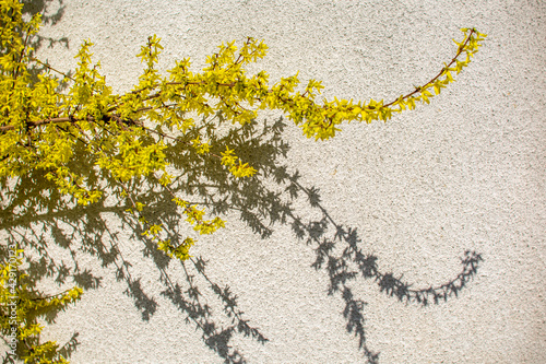 Plakat w ramie yellow fabric texture with flowers
