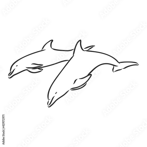 simple dolphin silhouette. dolphin, vector sketch on a white background