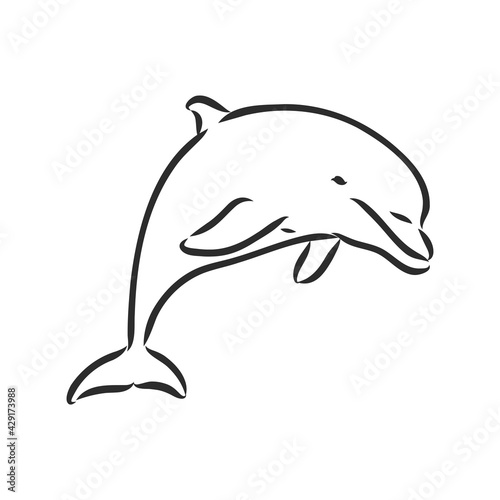 simple dolphin silhouette. dolphin, vector sketch on a white background
