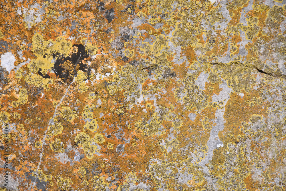 High quality stone and rock textures and backgrounds. Sets of black, gray, blue and yellow colors. rusty textures.