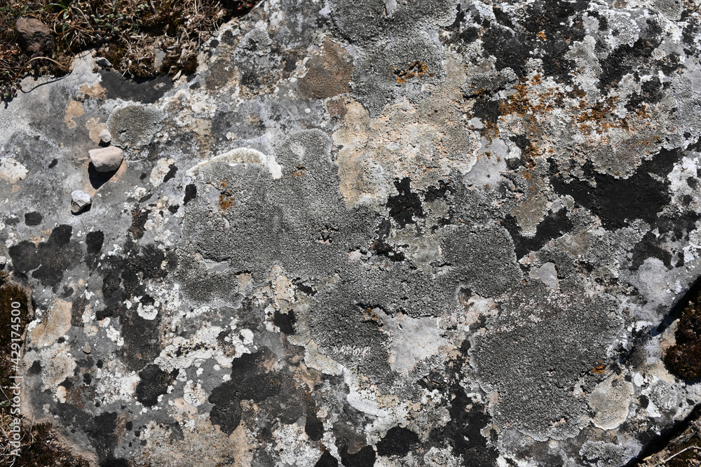 Fototapeta premium High quality stone and rock textures and backgrounds. Sets of black, gray, blue and yellow colors. rusty textures.