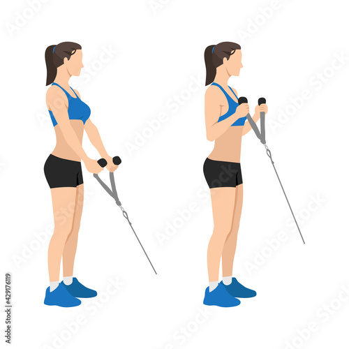 Woman doing Cable hammer bicep curls exercise. Arm workout. Flat vector illustration of a fitness man isolated on white background
