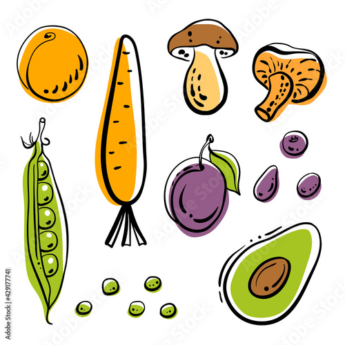Colorful line sketch collection of vegetables, herbs, fruits and berries isolated on white background. Doodle hand drawn fruits. Vector illustration