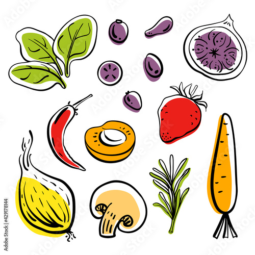 Colorful line sketch collection of vegetables, herbs, fruits and berries isolated on white background. Doodle hand drawn fruits. Vector illustration