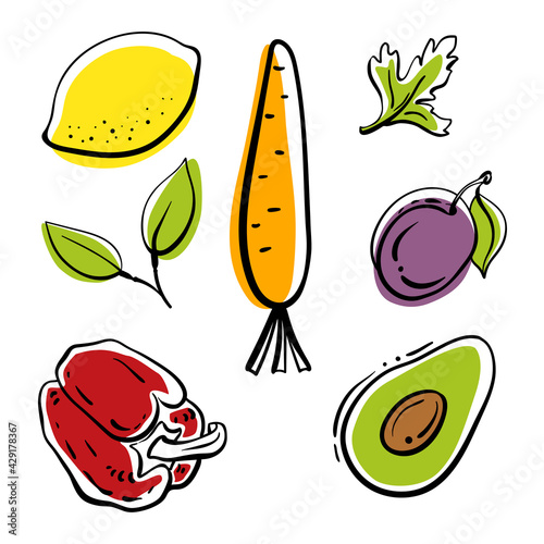 Colorful line sketch collection of vegetables, herbs, fruits and berries isolated on white background. Doodle hand drawn fruits. Vector illustration