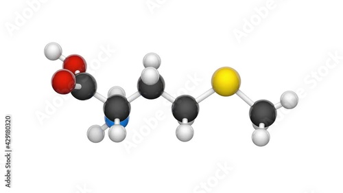 Methionine (symbol Met or M) is an essential amino acid in humans. Formula: C5H11NO2S. 3D render. Seamless loop. Chemical structure model: Ball and Stick. White background.