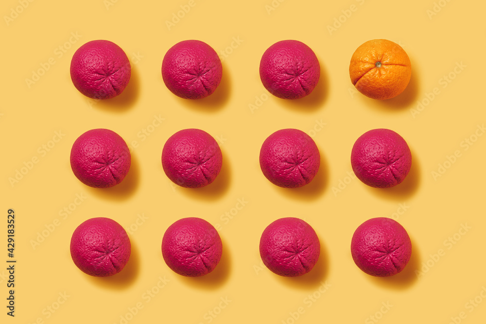 Unique orange among many pink ones against pastel orange background. Minimal summer organic fruit geometrical layout. Creative individuality and difference concept. Flat lay, top view. Unique orange among many pink ones against pastel orange background. Minimal summer organic fruit geometrical layout. Creative individuality and difference concept. Flat lay, top view.