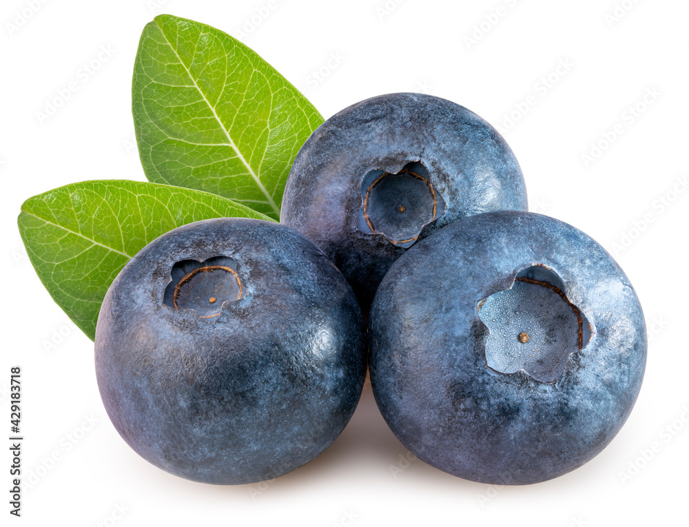 Blueberries fruit isolated on white background, Fresh Blueberry on White Background With clipping path, Blueberries fruit isolated on white background, Fresh Blueberry on White Background With clipping path,