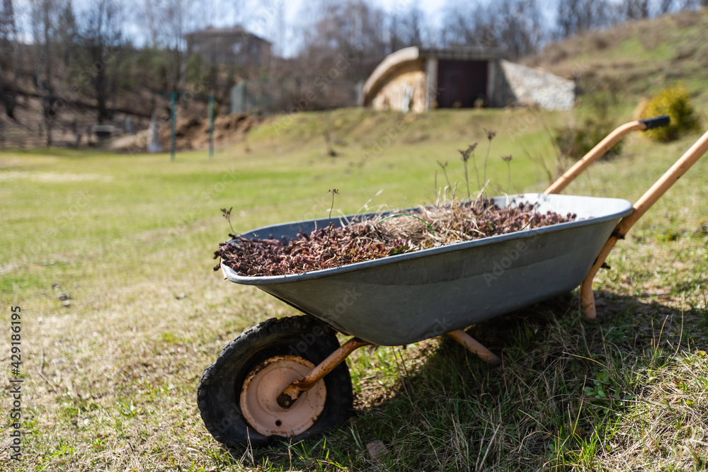 Spade resting against a wheelbarrow in a flower filled back garden Spade resting against a wheelbarrow in a flower filled back garden