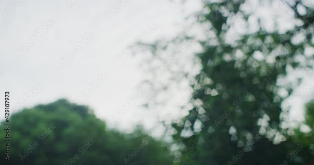 Out Of Focus Bokeh With Jungle Setting in Kuala Lumpur, Malaysia Out Of Focus Bokeh With Jungle Setting in Kuala Lumpur, Malaysia