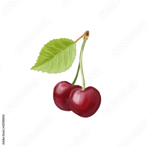 delicious ripe red cherry two pieces on a white background