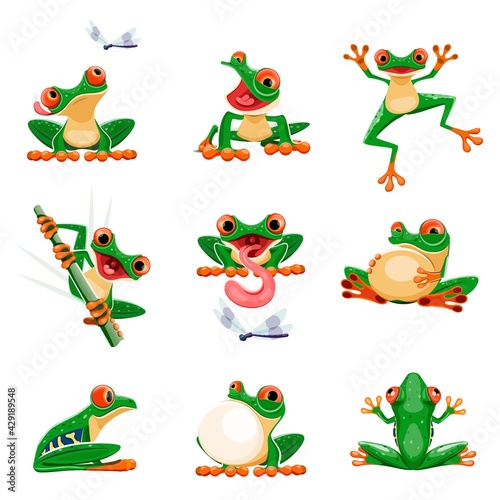 Funny frogs in various poses. Amphibian croaking, jumping, hunting, catching fly, smiling. Exotic tropical red-eyed tree frog. Wildlife animal cartoon vector set. Adorable bright creature