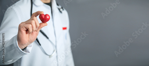 Cardiologist holding heart in hand
