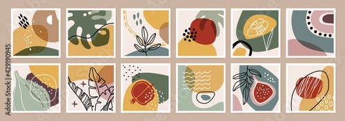 Organic abstract print. Minimal boho wall art decor. Organic shapes, tropical plants, leaves, flowers, fruits, nature elements. Modern botanical square poster vector set. Pomegranate and fig