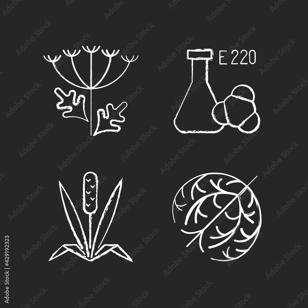 Allergens chalk white icons set on black background. Queen Annes lace