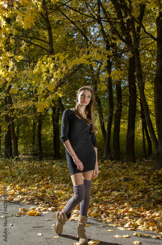 Portrait of a girl in an autumn park against a background of yellow foliage. Blurred background. Selective focus. Portrait of a girl in an autumn park against a background of yellow foliage. Blurred background. Selective focus.