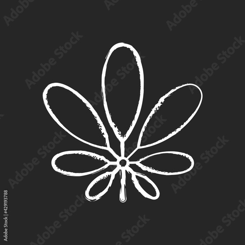 Schefflera chalk white icon on black background. Flowering plant. Tropical leaf. Umbrella tree. Seasonal cause of allergic reaction. Exotic foliage. Isolated vector chalkboard illustration
