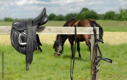Leather bridle and saddle are on hitching post in outdoors.