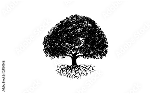 Creative abstract tree with root on white background vector logo design