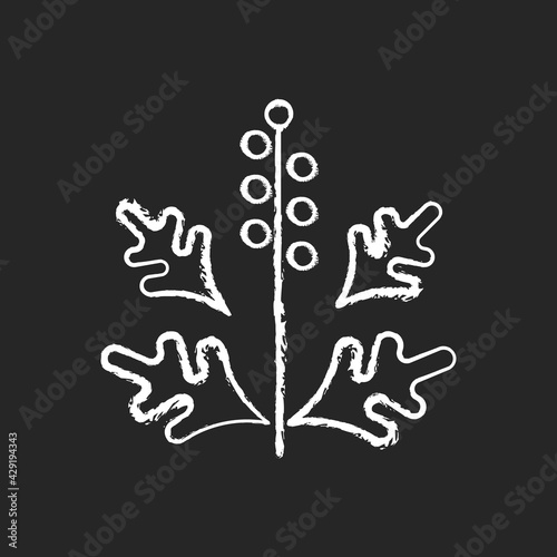 Ragweed pollen chalk white icon on black background. Blooming ambrosia. Cause of allergic reaction. Dangerous herbal allergen. Allergy for plant. Isolated vector chalkboard illustration