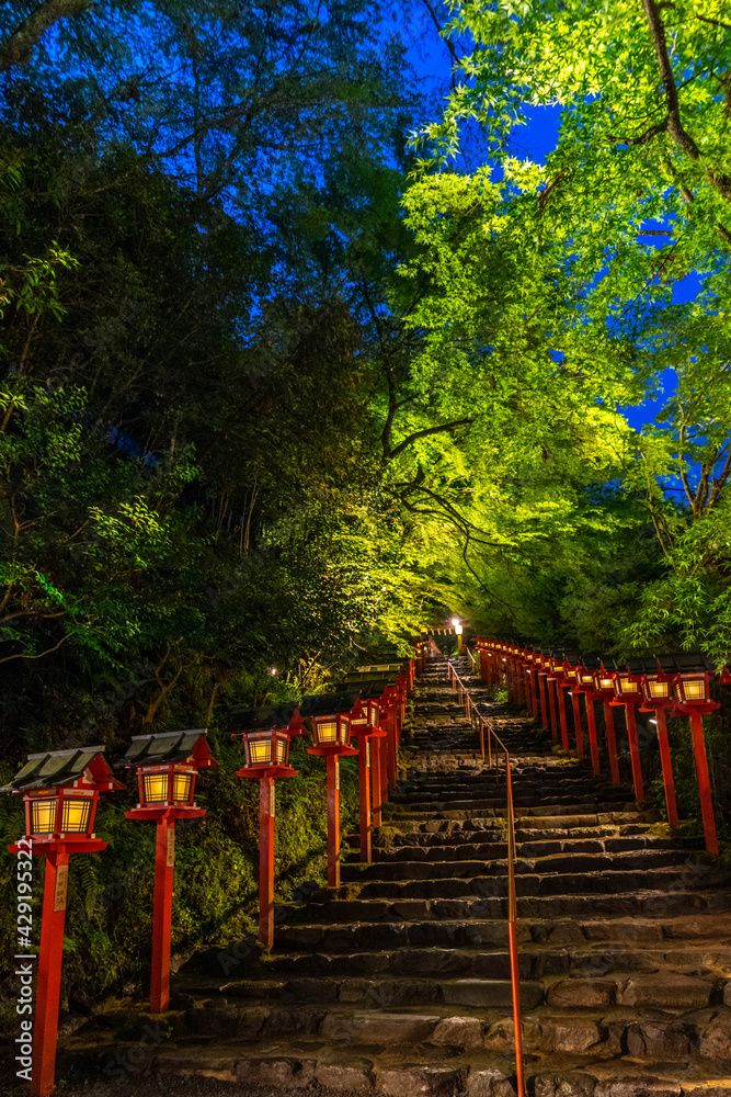 Fototapeta premium 貴船神社と青紅葉
