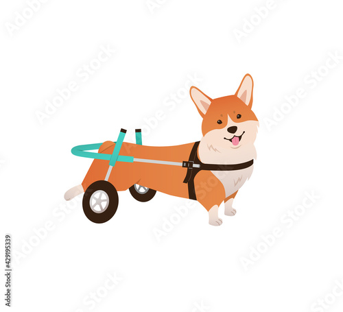Dog in a wheelchair illustration. Disabled pet corgi on a white background. Injured animal vector