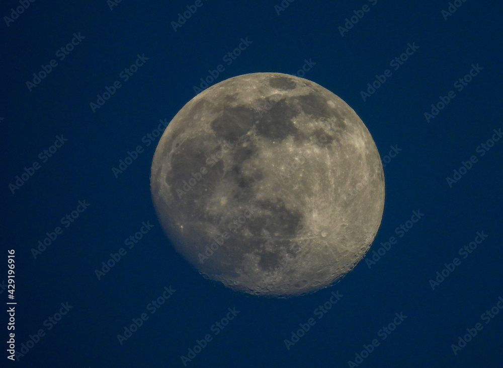 moon moon
