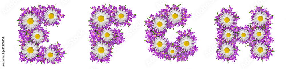 Letters E, F, G, H made of lilac violets and chamomile Letters E, F, G, H made of lilac violets and chamomile