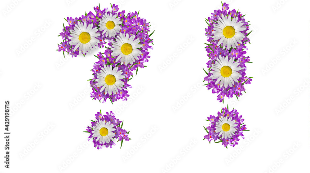 Question mark and exclamation mark made of lilac violets and daisies
