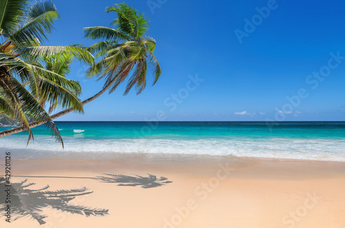 Fototapeta Naklejka Na Ścianę i Meble -  Palm trees on Paradise sandy beach and tropical sea. Summer vacation and tropical beach concept.	