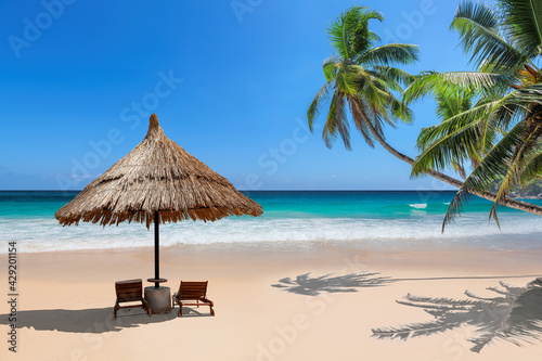Tropical beach with coco palms and sun umbrella, beach sunbeds, turquoise sea in tropical island.  © lucky-photo