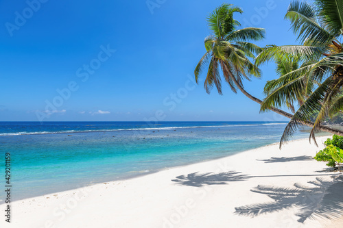 Fototapeta Naklejka Na Ścianę i Meble -  Palm trees on Paradise sandy beach and tropical sea. Summer vacation and tropical beach concept.	