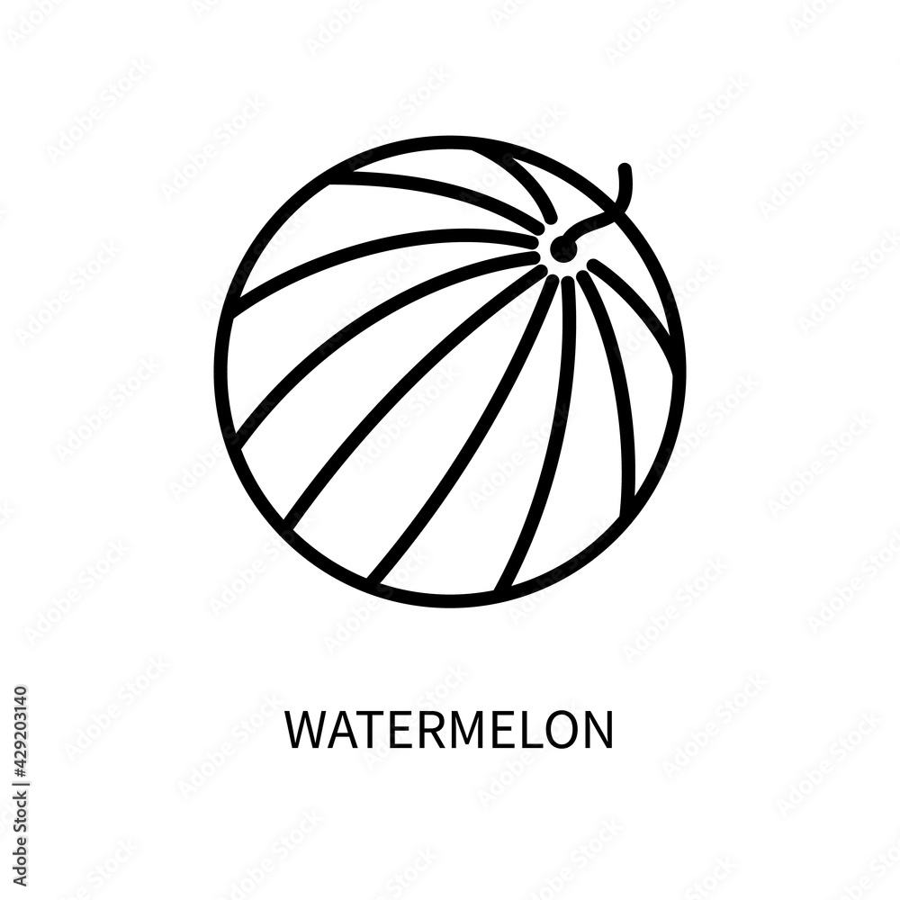Watermelon Line Icon In A Simple Style. Vector sign in a simple style isolated on a white background. Watermelon Line Icon In A Simple Style. Vector sign in a simple style isolated on a white background.