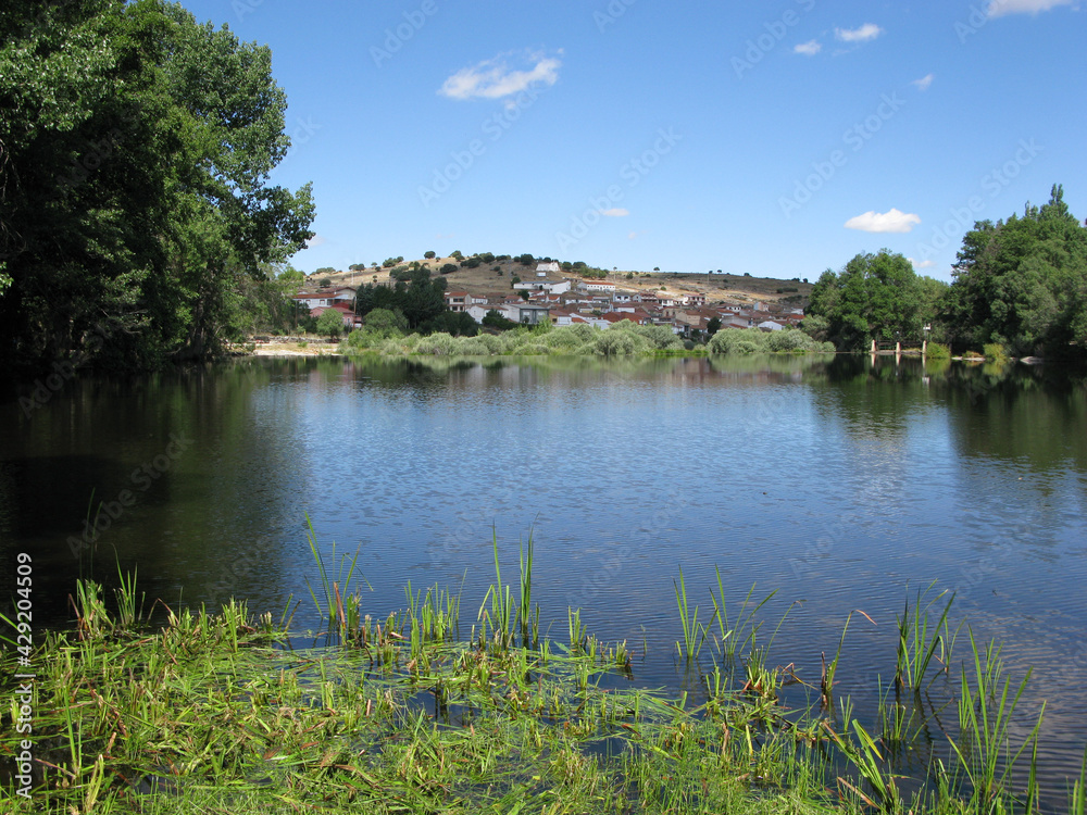 el puente del congosto