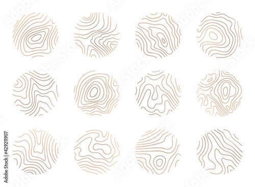 Tree ring clipart, vector logo wood ring. Circle topography map stock illustration