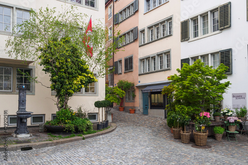Greenery on the cobbled old streets of Zurich, Switzerland