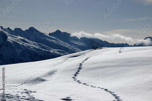 Dolomiti 02