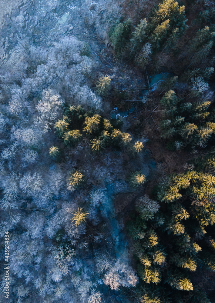 Obraz premium winter - autumn drone shot