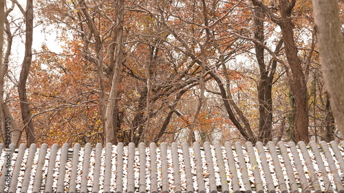 The beautiful classical Chinese garden autume view covered by the white snow after the snowing at night photo