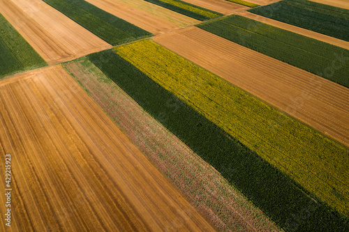 Aerial view of cultivated agricultural fields in countryside from drone pov