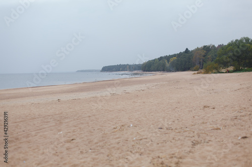 The coast of the Gulf of Finland. Large granite stones on a sandy beach