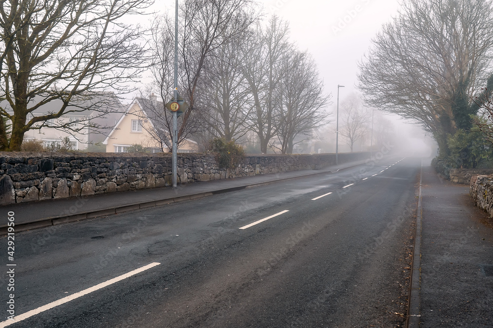 Asphalt road in town in fog. Dangerous conditions concept. Mist covers street. Cool tone. Nobody. Surreal feel