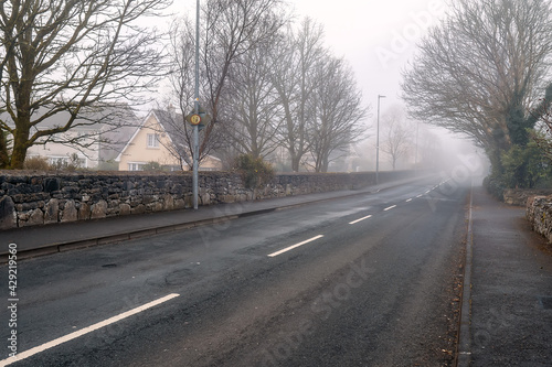 Asphalt road in town in fog. Dangerous conditions concept. Mist covers street. Cool tone. Nobody. Surreal feel