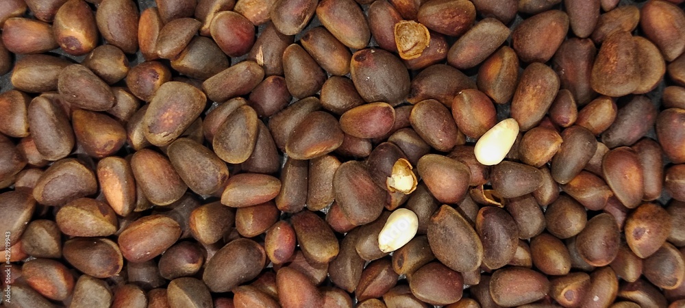 background of pine nuts in shell, brown background