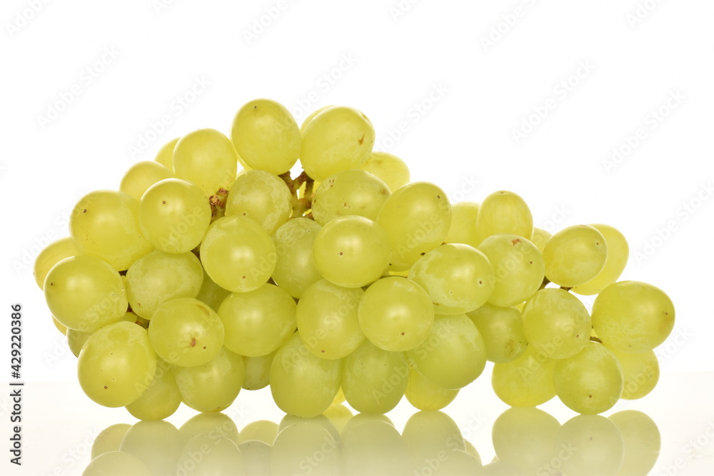 Ripe bunch of grapes, close-up, isolated on black. Ripe bunch of grapes, close-up, isolated on black.