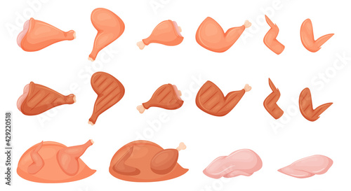 A set of pieces of raw chicken meat. Chicken leg, wing, breast fillet, drumstick, whole peeled chicken. Fresh raw and fried on chicken. Flat cartoon vector illustration isolated on a white background.