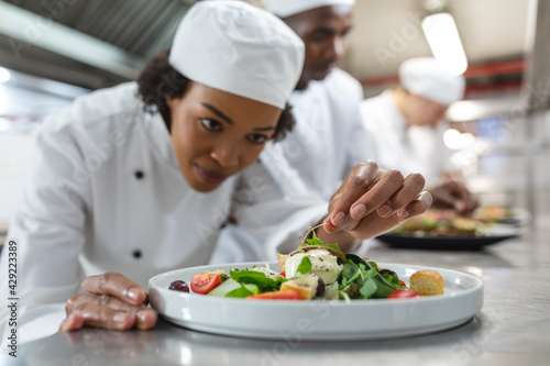 Mixed race professional chef finishing dish before serving with colleague in background