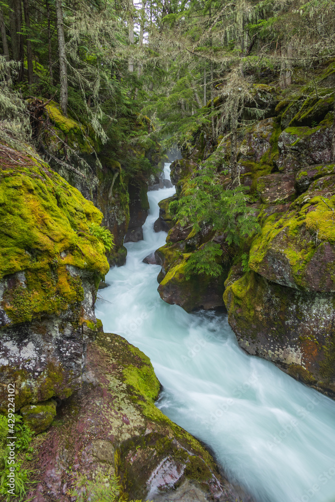 Snyder Creek at Glacier National Park, Montana Snyder Creek at Glacier National Park, Montana