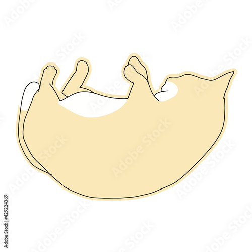 寝転がっている茶白の猫
