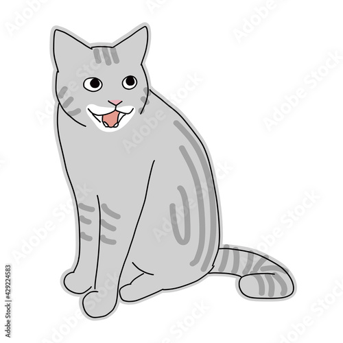 ニャーと泣いているアメリカンショートヘアの猫